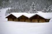Snow-covered hay barn (00007622)