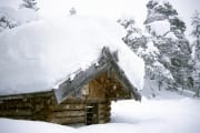 Snow-covered Weather shelter (00007649)