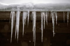 Icicles on a roof gutter (00007990)